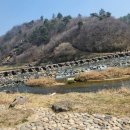 지혜숲어린이집 | 충북 아기랑 청주 근교 가볼만한곳 진천 농다리, 초평호 미르숲 산책로와 출렁다리 후기