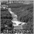 강릉 좋은집 공인중개사사무소 이미지