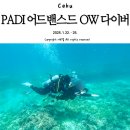 스쿠버다이버의집 | [필리핀, 세부 여행]스쿠버 다이빙 자격증 교육 2편...오픈 워터 다이버 도전기(업체와 강사를 잘...