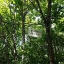 아홉사리로 이미지