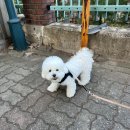 온하우스송파