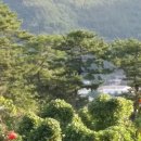 서율행정사사무소 이미지