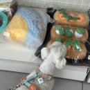 아이펫샵 | [전주 애견용품/애견호텔/애견유치원] 신세개백화점 후기