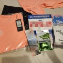 군산간호대학교 | 2026 군산 새만금 마라톤 대회 10km 참가 후기