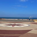 해송과 바다 이미지