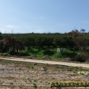 신동-118 이미지