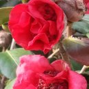 반석농장(2) 이미지