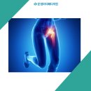 이메디정형외과의원 이미지