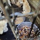 개발바닥친구들 이미지