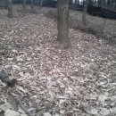 새벽숲농장 이미지