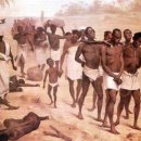 몽산농장 이미지