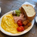 뉴명품카 이미지