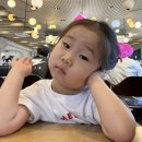 38개월 아기랑 파주 프리미엄 아울렛 주말방문 후기 | 식당/푸드코트/미니기차/회전목마/주차