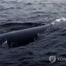 카페해일