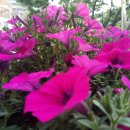 약수동 작은도서관 이미지