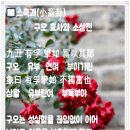 부효사 이미지