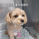 푸우동물병원 이미지