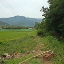 강하초등학교 이미지