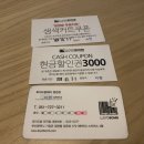 로이드밤 정관점
