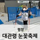 눈꽃여행 | 2026 대관령 눈꽃축제 주차장 미니올림픽 시간표 눈썰매장 체험 꿀팁 / 강원 아이와 가볼만한 곳