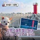 바둑이애견 | 강릉 애견동반 가볼만한곳 더글로리 촬영지 소돌항 아들바위공원 시티버스
