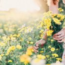 버들피리 이미지