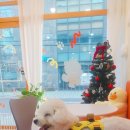 하프잇댕 이미지