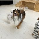 이든유치원 이미지