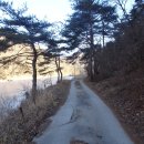 원시로1 이미지