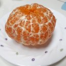 세훈농장 네이버블로그