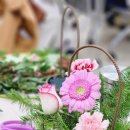 힐링 플라워테라피 이미지