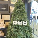 주정차-13 | 제주도 동문시장 아베베 베이커리 제주 내돈내산 후기 주차 정보 , 웨이팅 , 메뉴 (+ 아베베 커피 미니)