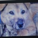 지탄농장 이미지