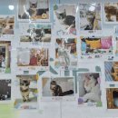 쿤이네집 이미지