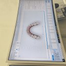 뉴서울치과의원 이미지