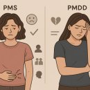 심리학적대인관계기술 | [연구 논문] 월경전 증후군(PMS)과 월경전 불쾌장애(PMDD): 호르몬 변화와 감정 조절의 심리학