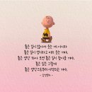 빠박이 이미지