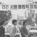 황소네집 Daum카페