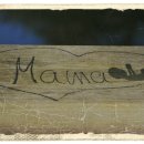 안전목욕탕 이미지