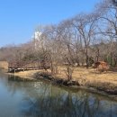 경포호수 3 이미지