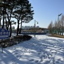 금왕공설운동장축구장 네이버블로그
