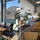 리버레인 이미지