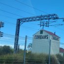 탄생축제 | 오클랜드 3월 예술 축제 아트 페스티벌 다녀온 후기