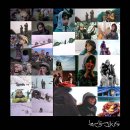 마당말들 이미지