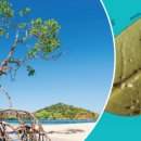 블루사이언스 이미지