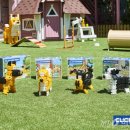 펫 프렌즈 이미지