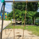 남양주월문초등학교 이미지