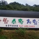 덕성농장 이미지