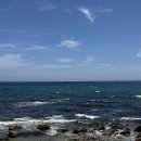 영해버스정류장 | [영덕-카페삼바리] 고래불해수욕장 카페, 오션 뷰, 여름휴가 국내