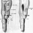 삼부혈 (상생순환도, 소상혈,함곡혈, 어제혈,해계혈,척택혈,내정혈,소택혈, 부류혈,대릉혈,수궐음심포경, 양릉천혈,간사혈, 규음혈) 이미지